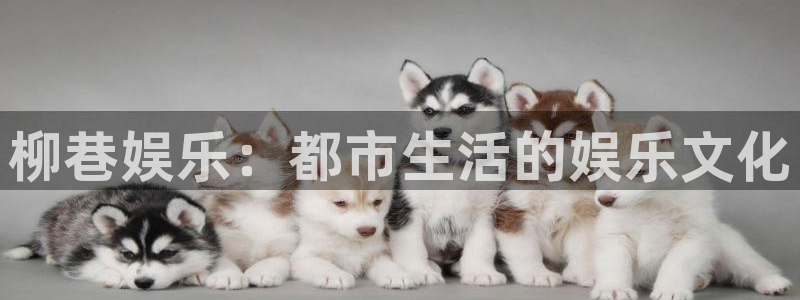 彩名堂安卓版