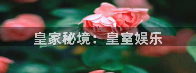 彩名堂全天免费计划官网