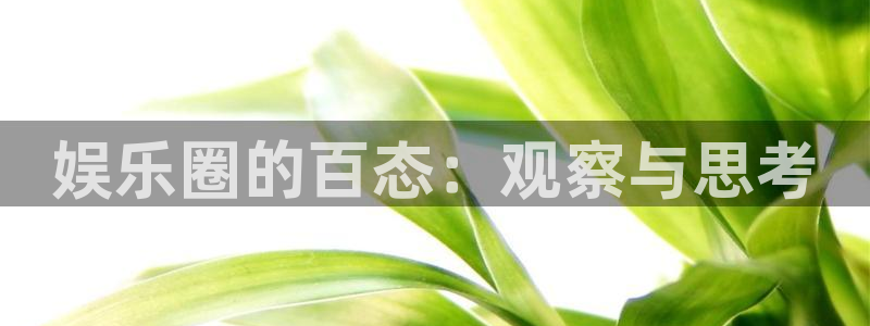 彩名堂官方平台