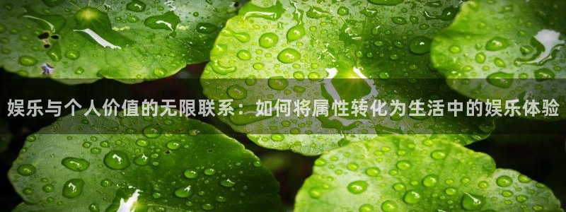 彩名堂最新免费计划官网