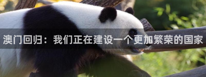 彩名堂老版本