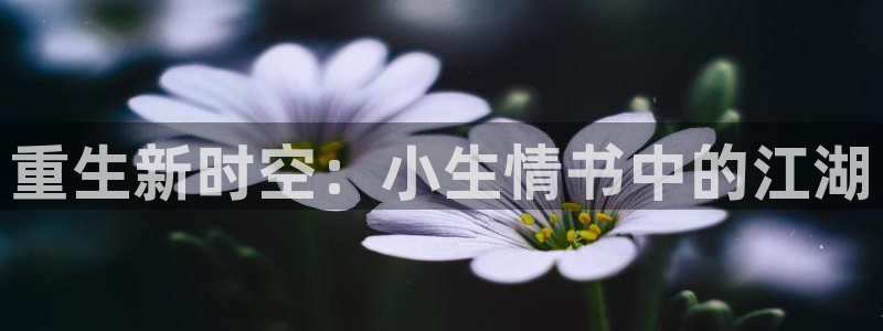 彩名堂计划旧版本