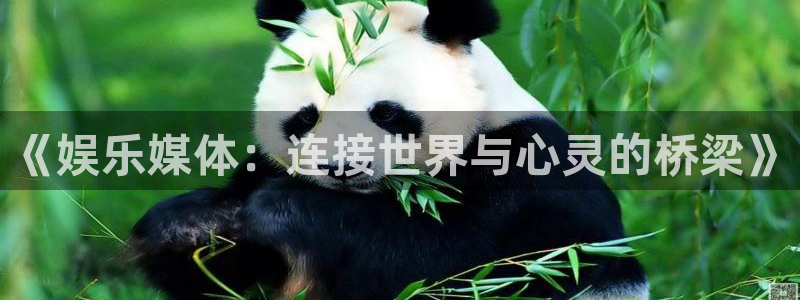 彩名堂人工计划客户端