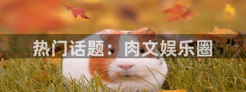 彩名堂计划怎么样